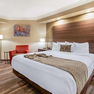 Deluxe King Room Smoking